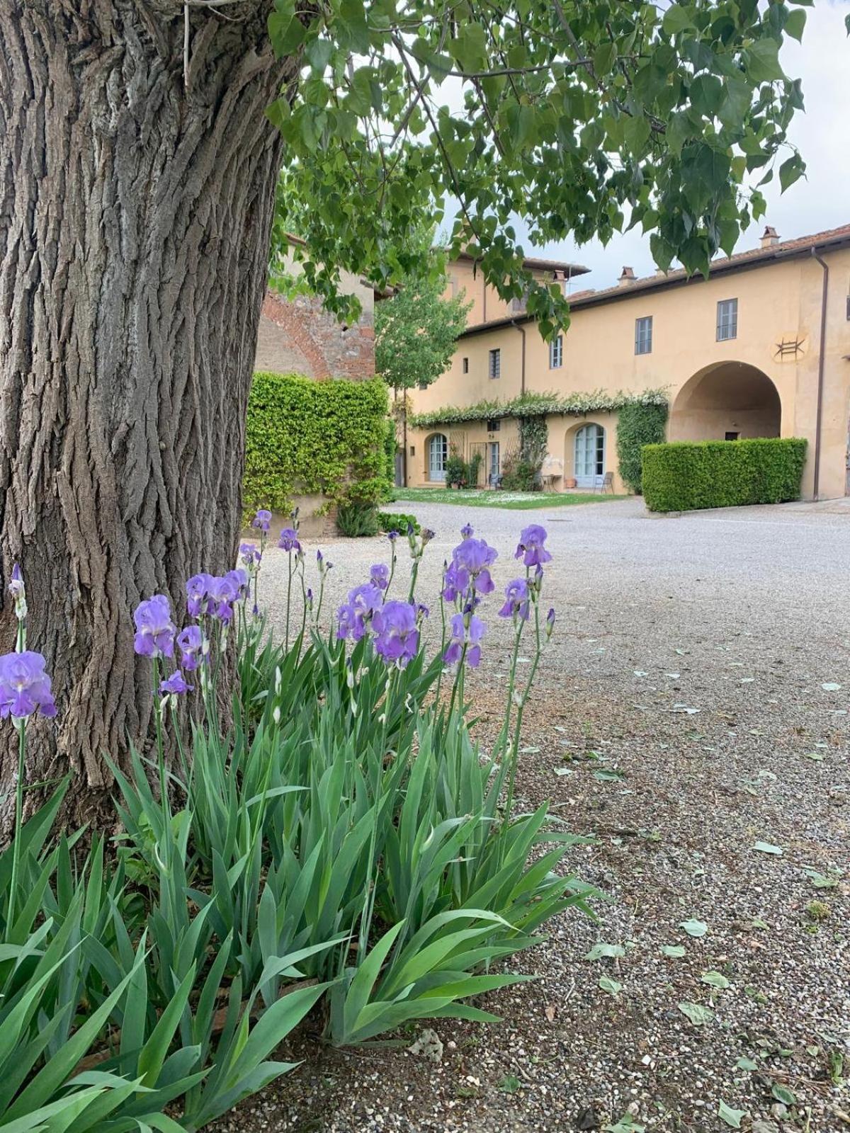 Agriturismo La Volta Villa Cascina Dış mekan fotoğraf